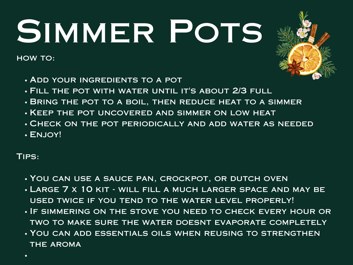Christmas Winter Cozy Simmer Pot