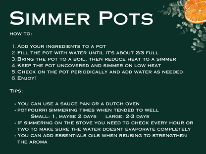Cold & Flu (Sinus - Allergies) Simmer Pot